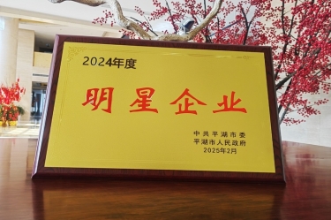 新春新景新气象 | 8868体育首页登录在平湖三干大会上喜摘荣誉！