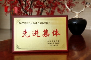 策马扬鞭启新程！8868体育首页登录在平湖市三级干部大会上荣获“创新突破”双项荣誉